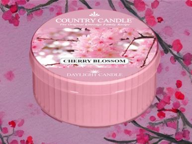 Cherry blossom daylight Candela profumata cera di soia Kringle Candle  Pattycrea 